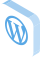 server security shield icon